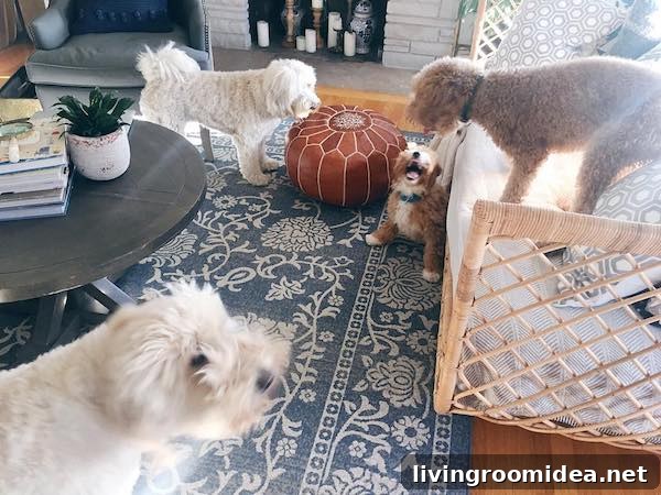 Creative Doodle Ideas to Try at Home 4 Doodle pups Jack, Lily, Bella and Leo. Follow their adventures on Instagram @doodlesathome and @thenspiredroom.