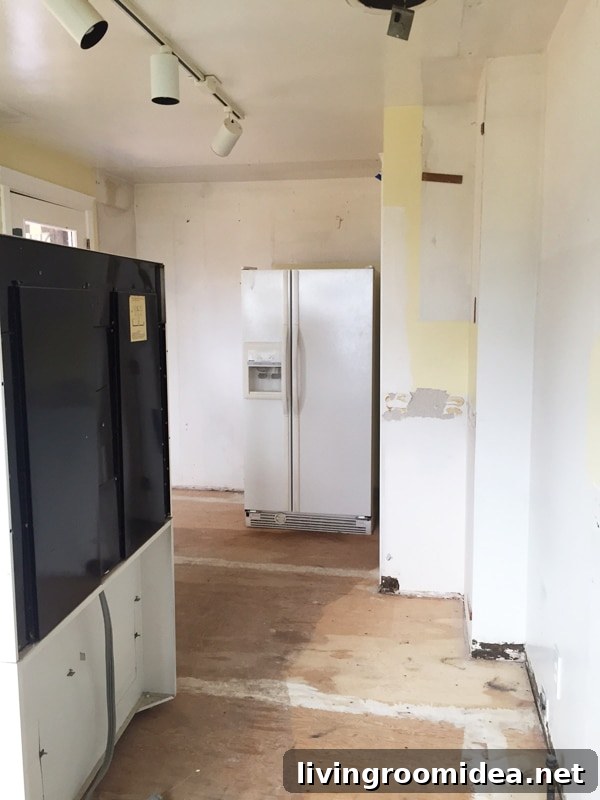 kitchen-tear-out