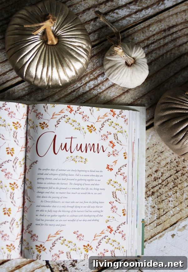 Living Through the Seasons: A Guide to Seasonal Lifestyle Changes 3 Life in Season by Vanessa Hunt and Heather Patterson