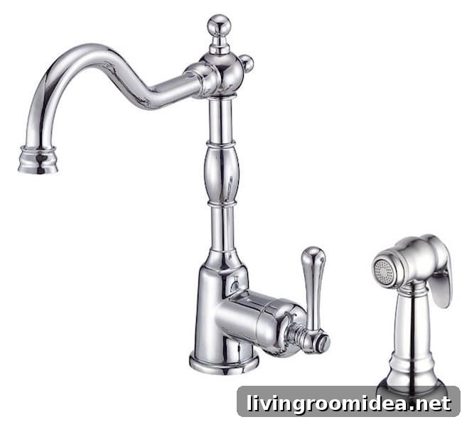 Danze Chrome Single Lever Faucet - Click through for more kitchen faucet sources!
