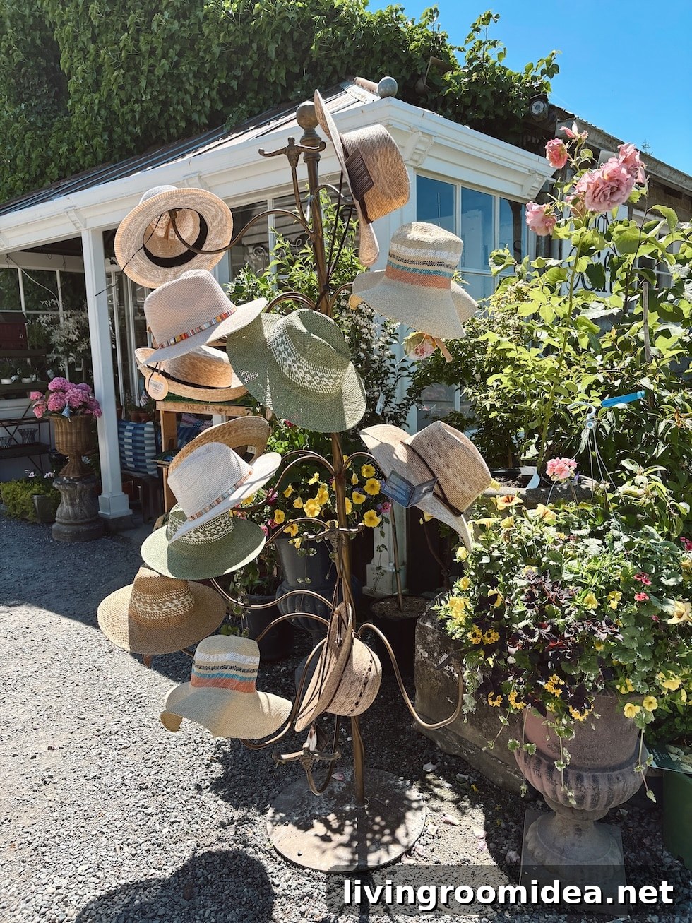 img 196564 1