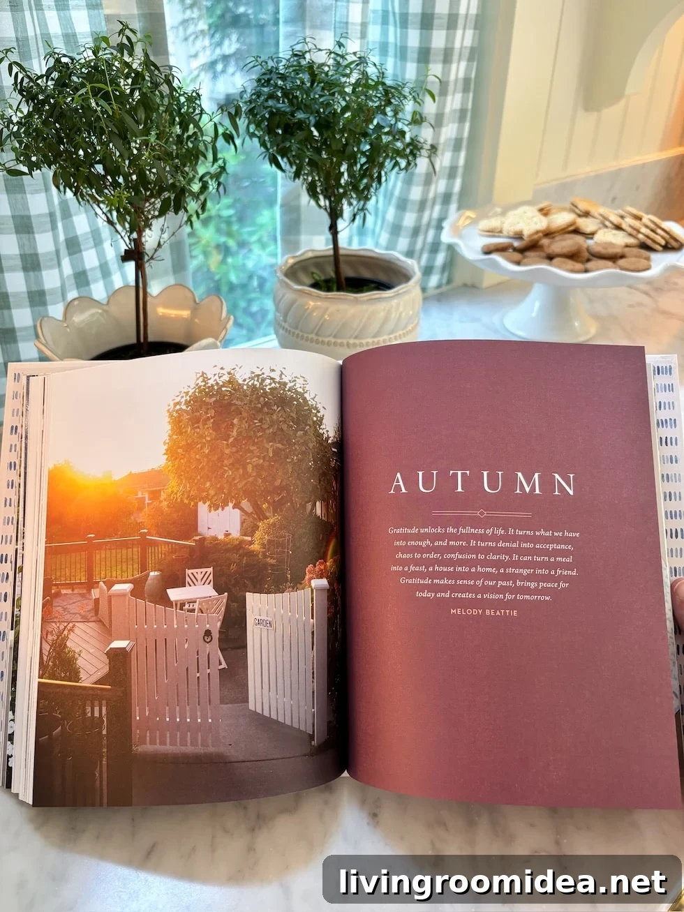 Stylish Coffee Table Books and Gift Ideas 5 img 200115 4